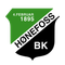 Хенефосс
