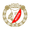 Видзев