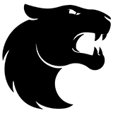 Furia Esports