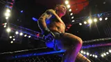 Рекордсмен UFC будет избит, пояс Хибаба заберет народный чемпион. Прогноз на Чарльз Оливейра — Дастин Порье