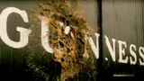 Посмотрела сериал «Дом Гиннесса» про наследников пивоваренной компании. Не только историческая, но и семейная драма