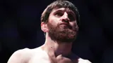 Перейра: «Все хвалят навыки борьбы Анкалаева. Они не знают, на что я способен»