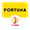 Польша. Первая лига