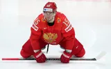 Плотников и Анисимов не прилетели со сборной России в Пекин
