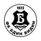 Бдин Видин