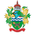 Чертси Таун