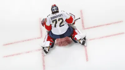 Сергей Бобровский
