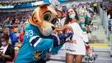 Громкий скандал в КХЛ закончился красиво. «Ак Барс» выгнал красавиц-чирлидерш, но они выступили на матче клуба