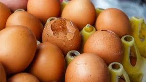 Проверяю куриные яйца на свежесть простыми способами: всегда работают