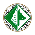 Авеллино 1912