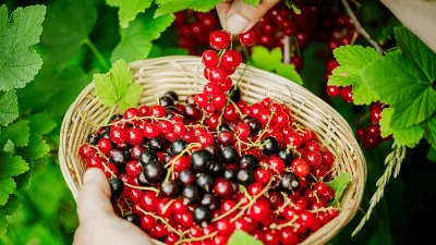 Лайфхаки