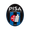 Пиза