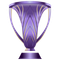 Элитная Лига чемпионов АФК
