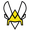Team Vitality