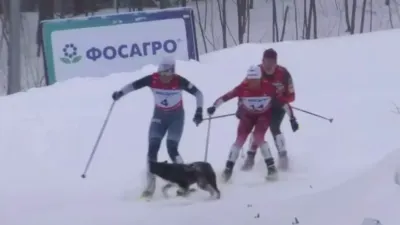 Арина Кусургашева