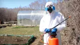 Рассказываю, как спасти дачу от клещей: эти способы прогонят паразитов и защитят семью