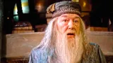Эта теория фанатов «Гарри Поттера» — любимая у Джоан Роулинг: у Дамблдора есть другая роль