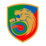 Медзь