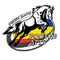 Ростов-ДГТУ