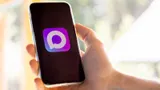 Шишкарев не стал отказываться от Telegram: «Русские не сдаются! А мессенджер MAX пока больше напоминает Mini»
