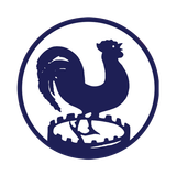 Квик 20