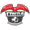Сокол Казань