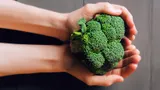 Брокколи улучшает здоровье и помогает худеть. Рассказываем, как приготовить