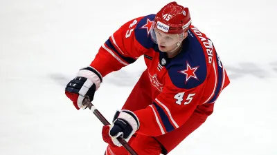 Владислав Провольнев