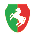 Дравиня