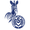 Дуйсбург