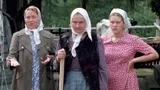 Тест на знание фильма «Любовь и голуби»: продолжите цитату из легендарного кино СССР