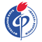 Факел-м