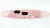 Ткачев, Шарипзянов и Энас номинированы на приз лучшему игроку сезона КХЛ