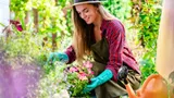 Цветы для самых ленивых: легко посадить на даче, они не требуют ухода