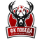 Победа Нижний Новгород