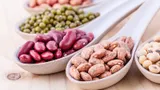 Вкусная фасоль: как приготовить и чем полезны разные виды