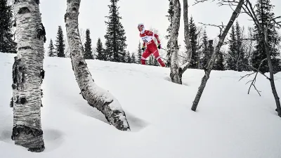 Евгения Крупицкая