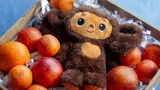 Какой национальности Чебурашка на самом деле: разбираемся, откуда приехал в СССР легендарный персонаж