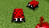 Лучшие моды на насекомых для Minecraft: добавляем разных жуков, бабочек и букашек в игру