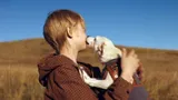 Посмотрела фильм «Моя собака — космонавт»: сказка про Белку и Стрелку понравится только детям